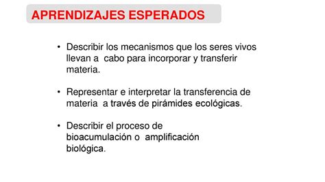 TRANSFERENCIA DE MATERIA Y ENERGÍA EN LOS ECOSISTEMAS ppt descargar