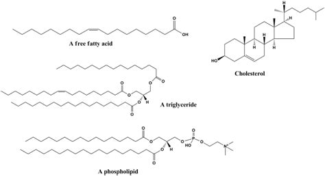 Lipids