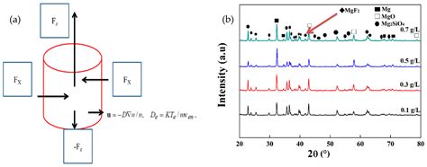 Coatings Free Full Text Influence Of Complex Sif Ions On The Peo