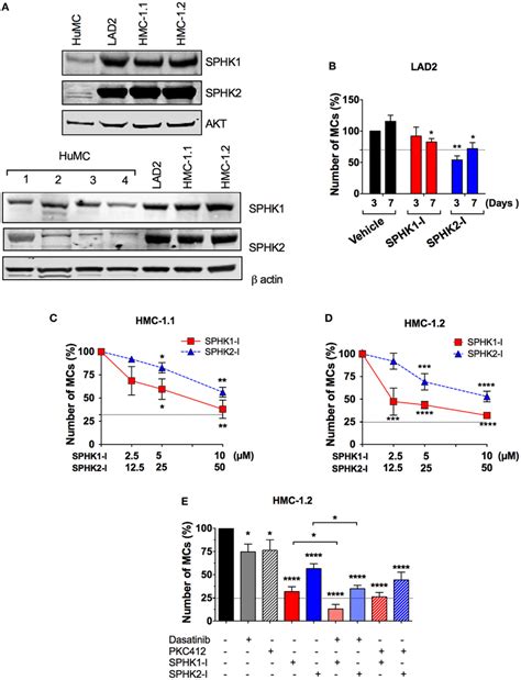 Enhanced Expression Of Sphk And Sphk In Neoplastic Human Mcs And