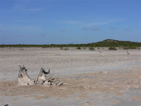 Photos From Great Inagua Bahamas January 2006