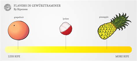 Gewürztraminer Wine Guide | Wine Folly