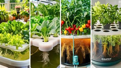 Top 15 DIY Hydroponics System [Within Budget] – craftydiyers.com