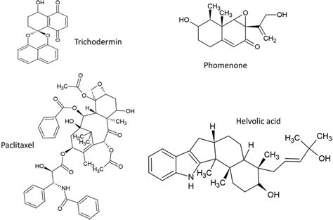 Comparative Analysis Of The Trichothecene Biosynthetic Gene Clusters In