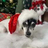 Eila Adams Nude OnlyFans Leaks Fappening Page FappeningBook