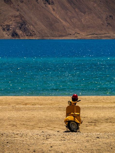 Yellow Schooter At Pangong Lake Worlds Highest Saltwater Lake