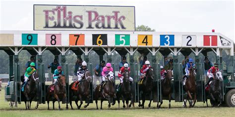 Ellis Park Picks - Todays Racing Digest