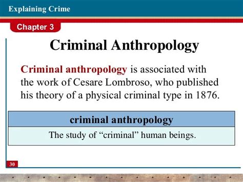 Theories Of Crime Criminology