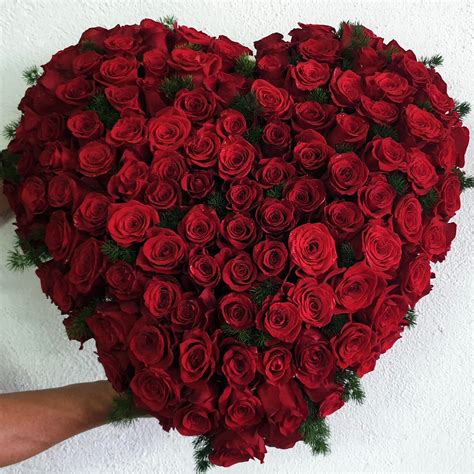 Corazon Nevado 2