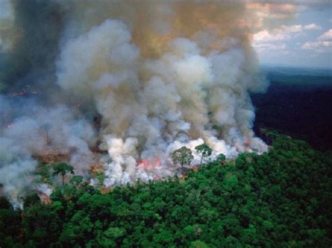 Amazzonia Ecco Le Cause Dei Grandi Incendi In Atto