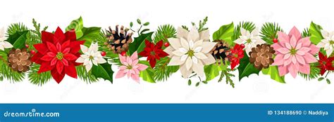 Christmas Seamless Garland With Poinsettia Flowers Vector Illustration