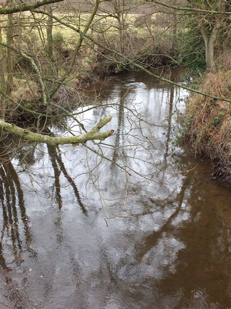 Derwent Through The Woods The River Derwent B Flickr