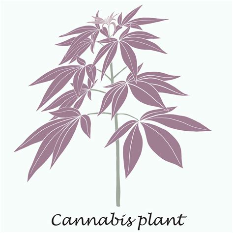 Conception Plate De Dessin Main Lev E De Plante De Cannabis De