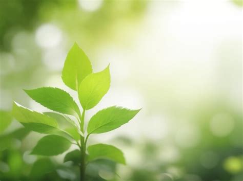 Wachsende Pflanzen Frische Bl Tter In Einer Gr Nen Garten Vektor