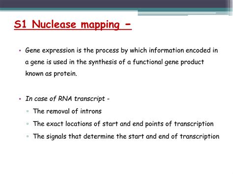 S1 Nuclease Mapping Ppt