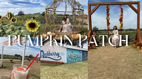 Vlog Pumpkin Patch YouTube