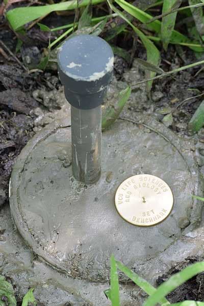 Chesapeake Bay Sentinel Site Cooperative Rice Rivers Center