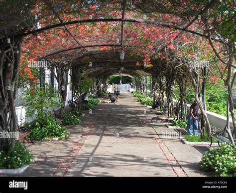 Paseo Esteban Huertas El Barrio Viejo Rep Blica De Panam Fotograf A