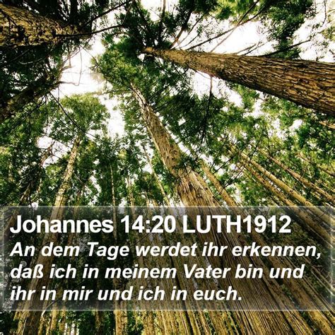 Johannes 14 20 LUTH1912 An dem Tage werdet ihr erkennen daß ich in