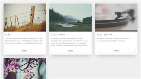 Flexbox Card Grid