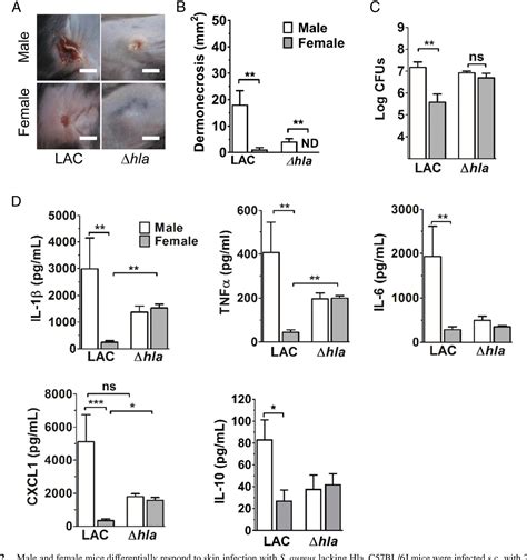 Figure 2 From Innate Sex Bias Of Staphylococcus Aureus Skin Infection Is Driven By α Hemolysin