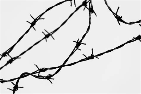 Premium Photo Low Angle View Of Barbed Wire Against White Background