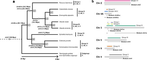 The Rate Of W Chromosome Degeneration Across Multiple Avian Neo Sex