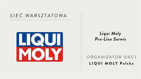 Poznaj Ofert Sieci Liqui Moly Pro Line Serwis Autoexpert