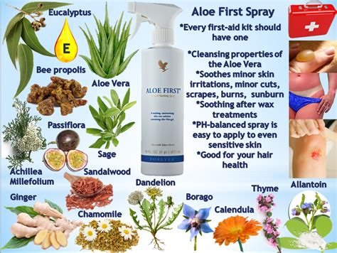 Aloe First