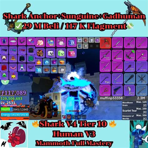 Lv 2531 Shark V4 Tier 10 Human V3 Mammoth Full Mastery Shark Anchor