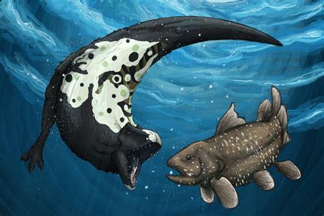 living fossil meets living fossil     wrenbaile  deviantart