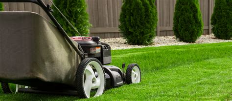 Comprehensive Guide to North Texas Lawn Care | Save Tarrant Water