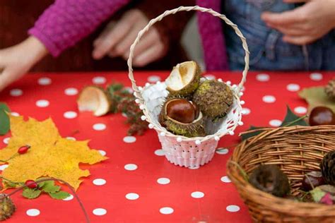 Knutselen Met Kastanjes Voorbeelden Om Creatief Te Maken Met Peuters En