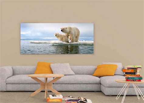 Animal Prints Fine Art by Wildlife Photographer