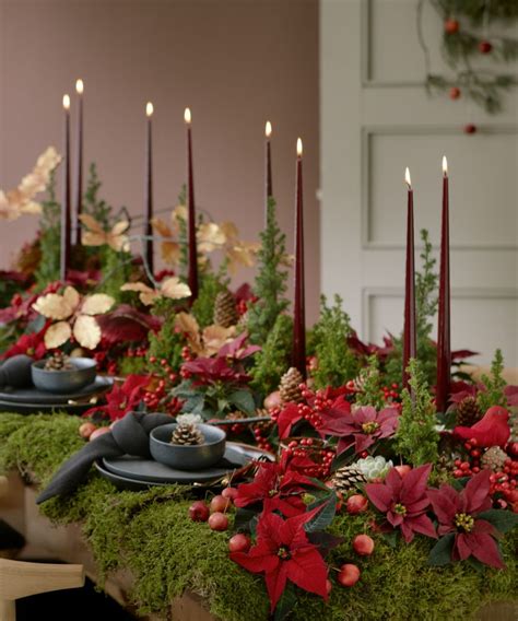 Table decoration with poinsettia: Festive ideas in Advent › Inspiration ...