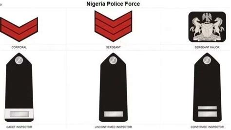 Nigerian Police Ranks And Symbols [updated 2020] Legit Ng