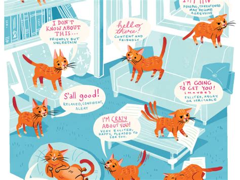 How To Know If Your Cat Loves You: 9 Tell-Tale Signs | Modern Cat