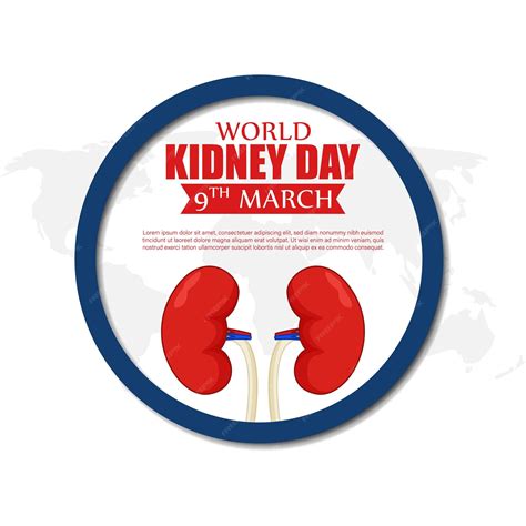 Premium Vector | Vector illustration of world kidney day social media