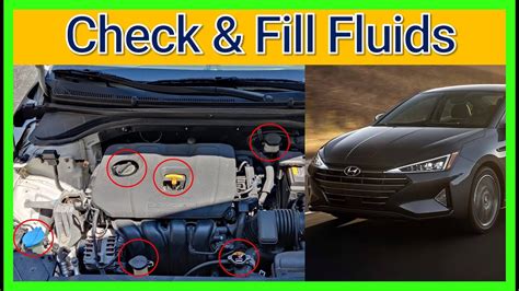 How To Check And Fill Fluids Complete Guide Hyundai Elantra