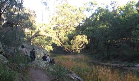 The Drip Walking Track Nsw National Parks