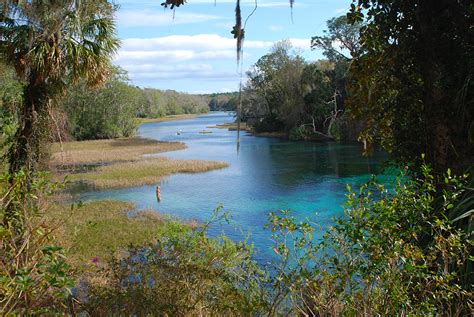 Hiking Dunnellon | biking paddling camping | Florida Hikes