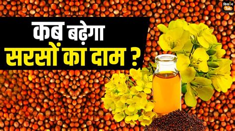 Mustard Price अचानक मंड‍ियों में क्यों कम हुई सरसों की आवक क्या आने वाले द‍िनों में बढ़ सकते