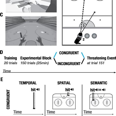 Experimental setup and protocol. (A) Experimental setup. (B). Task ... 