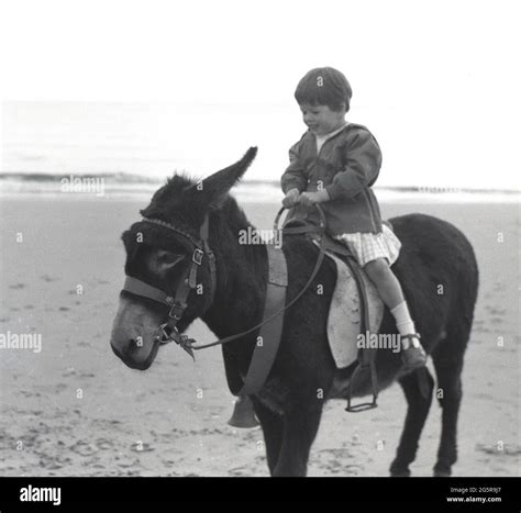 1950s Beach Donkey Hi Res Stock Photography And Images Alamy