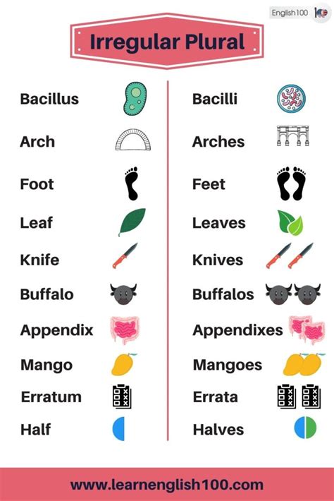 The List Of Most Common Irregular Plural Nouns In English And Their