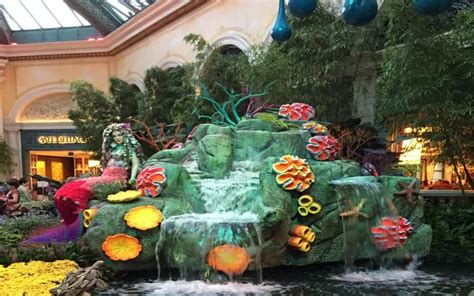 Bellagio Conservatory summer 2012 - Mommy Travels