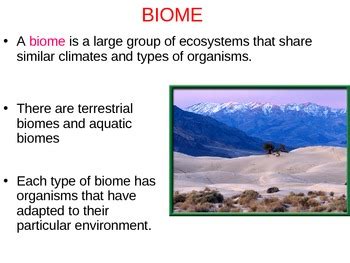 Aquatic Biomes Lecture PPT By Miss Vanessakay TPT