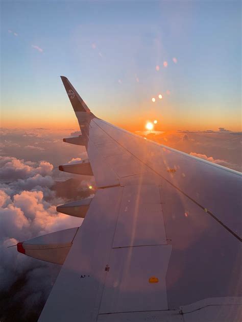 Flight Sunset