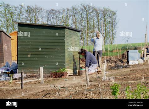 New Allotment Tenants At Greenway Fruit Farm Herstmonceux East Sussex