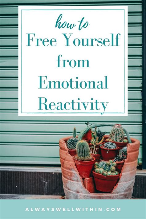 How To Free Yourself From Emotional Reactivity — Always Well Within